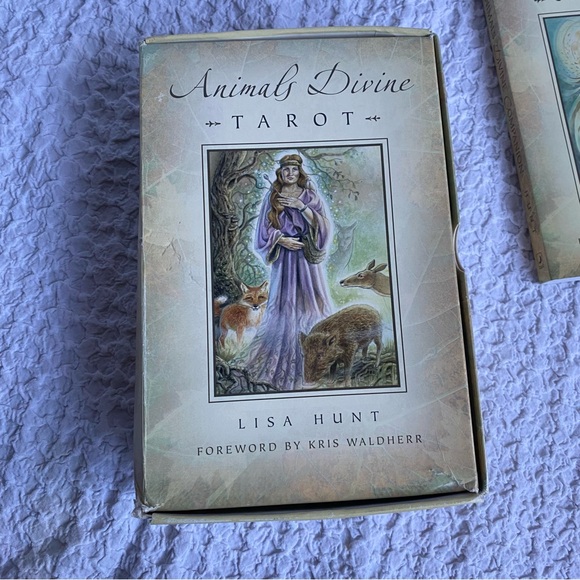 Animals Divine by Lisa Hunt Tarot card box set First Printing / First Edition - Picture 11 of 16